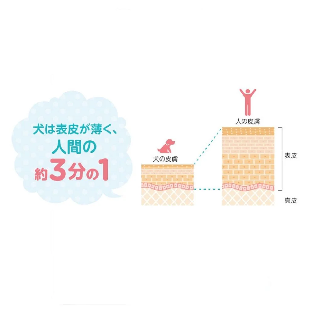 ライオン ペットキレイ 泡リンスインシャンプー 犬用 ニオイクリア つめかえ 450ml - Image 14