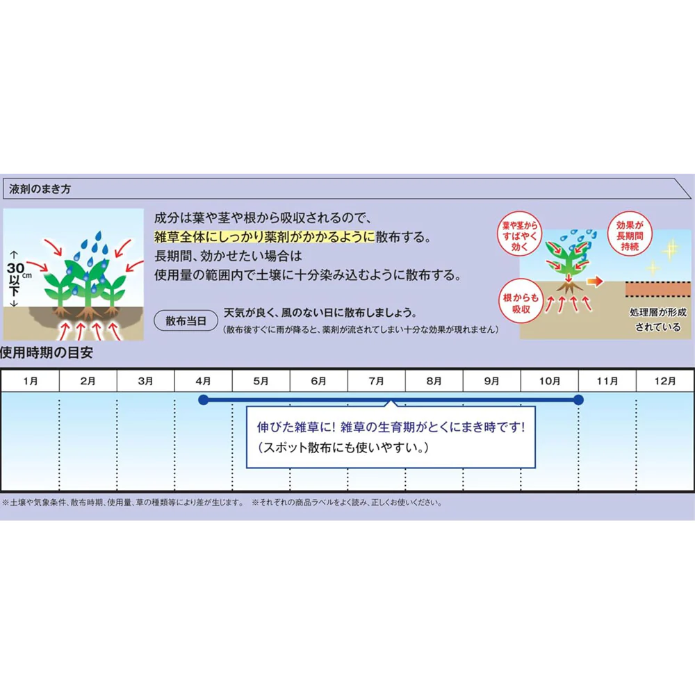 （農）レインボー薬品 ネコソギシャワーAL V6 エコパック 2L - Image 4