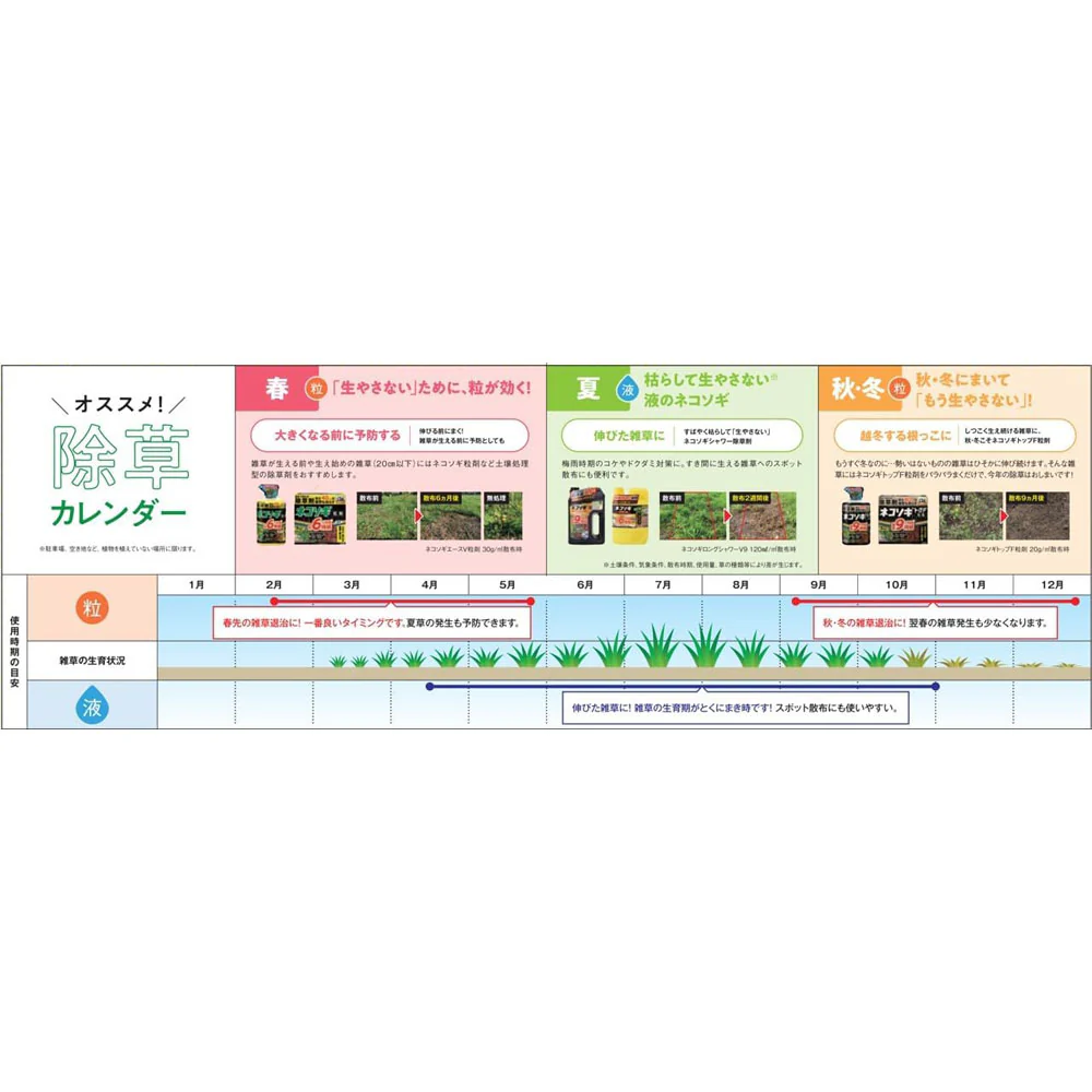（農）レインボー薬品 ネコソギシャワーAL V6 エコパック 2L - Image 5