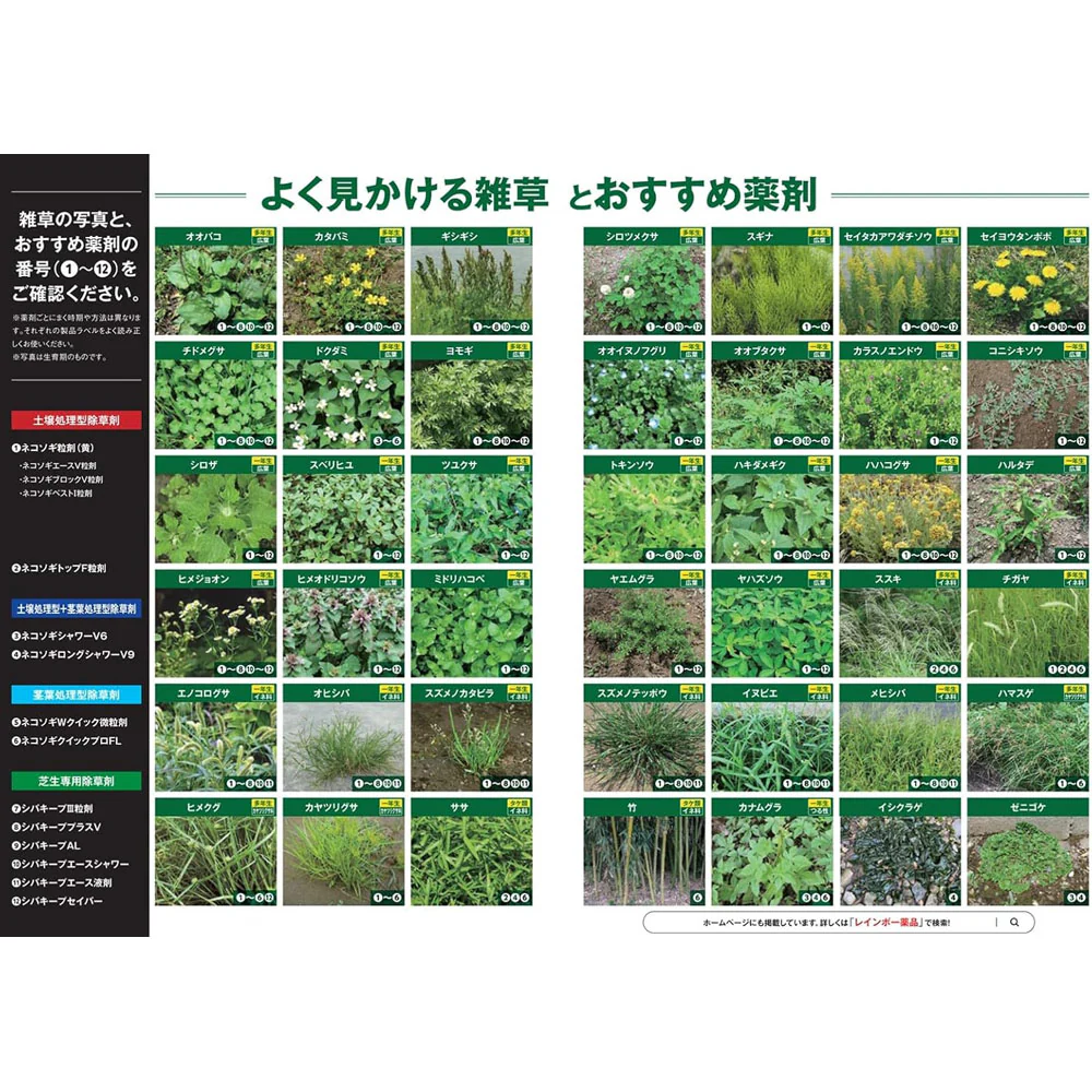 （農）レインボー薬品 ネコソギシャワーAL V6 エコパック 2L - Image 6