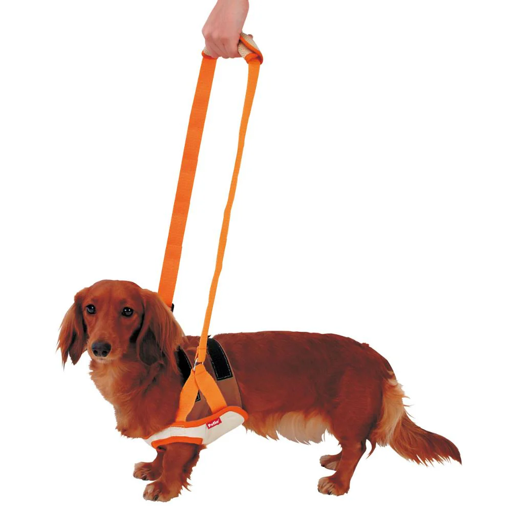 老犬介護用 歩行補助ハーネス 前足用K M 【直送品】 返品・キャンセル・他商品と同時購入は不可 - Image 2