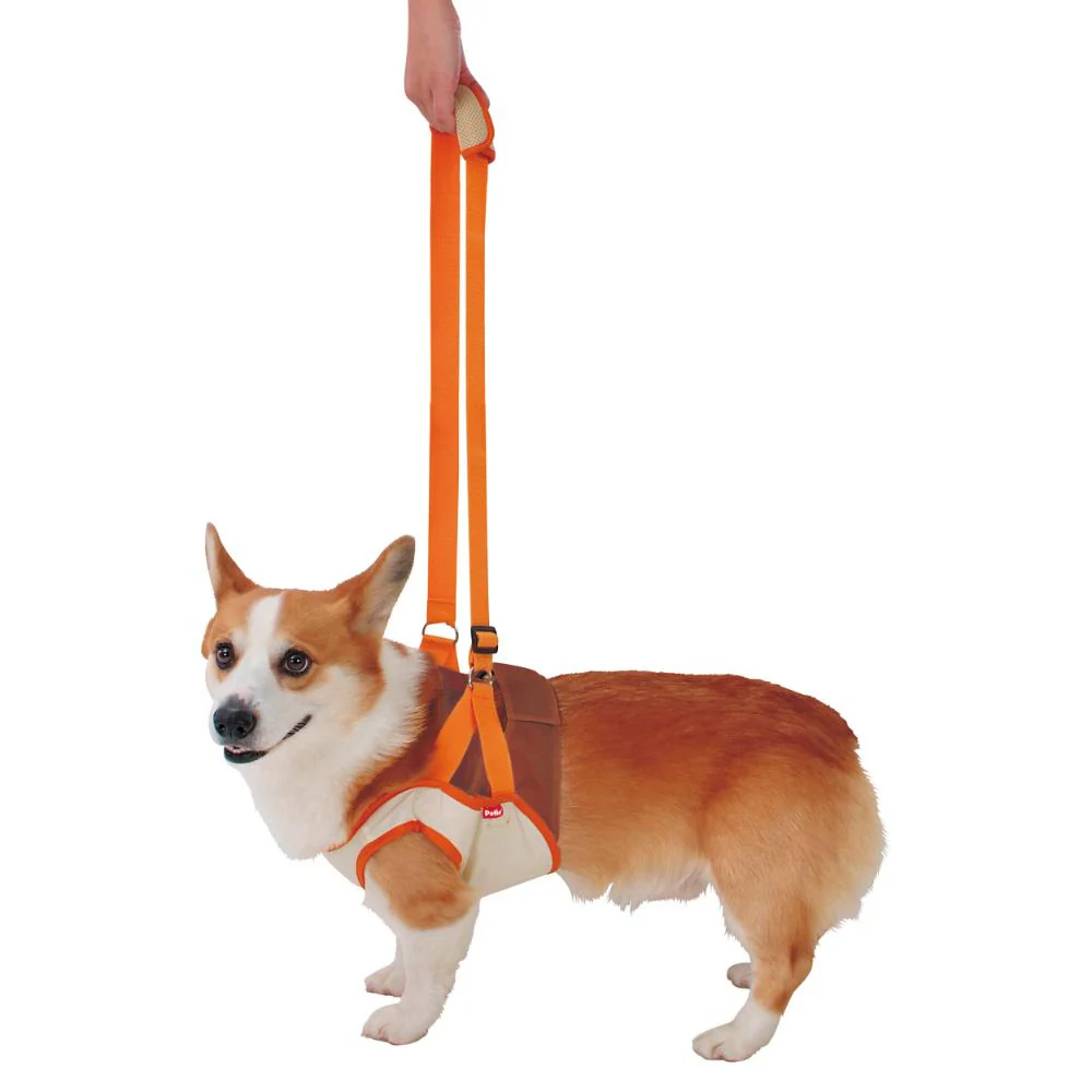 老犬介護用 歩行補助ハーネス 前足用K L 【直送品】 返品・キャンセル・他商品と同時購入は不可 - Image 2