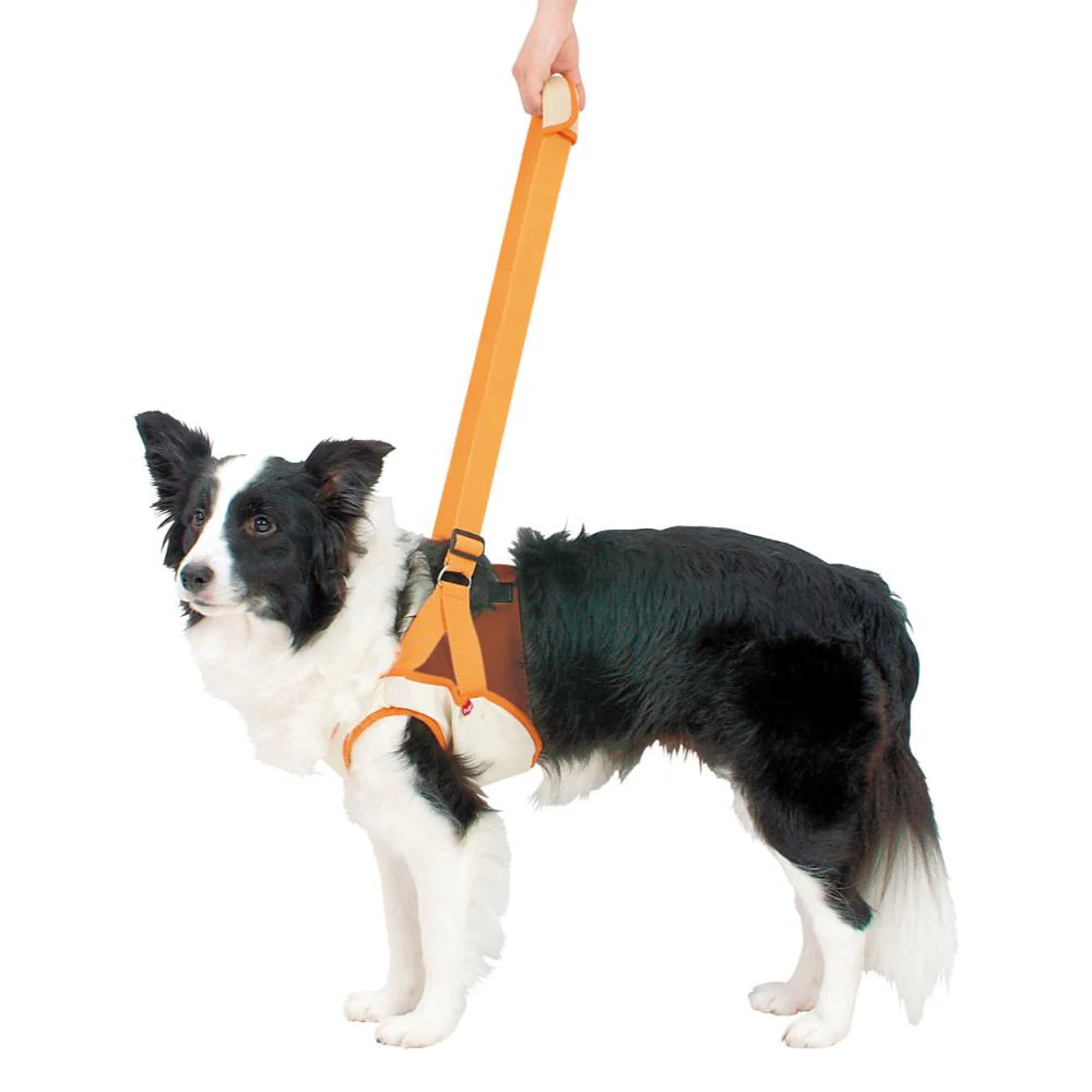 老犬介護用 歩行補助ハーネス 前足用K 2L 【直送品】 返品・キャンセル・他商品と同時購入は不可 - Image 2