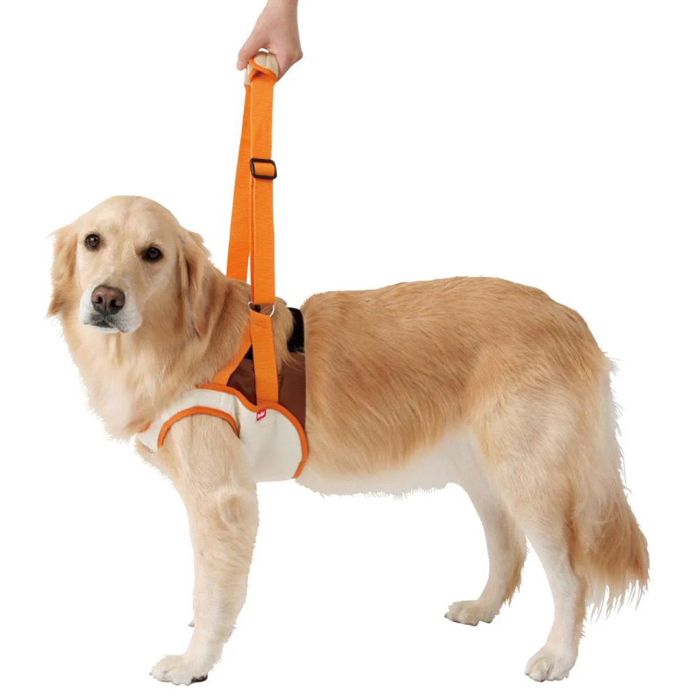 老犬介護用 歩行補助ハーネス 前足用K 3L 【直送品】 返品・キャンセル・他商品と同時購入は不可 - Image 2