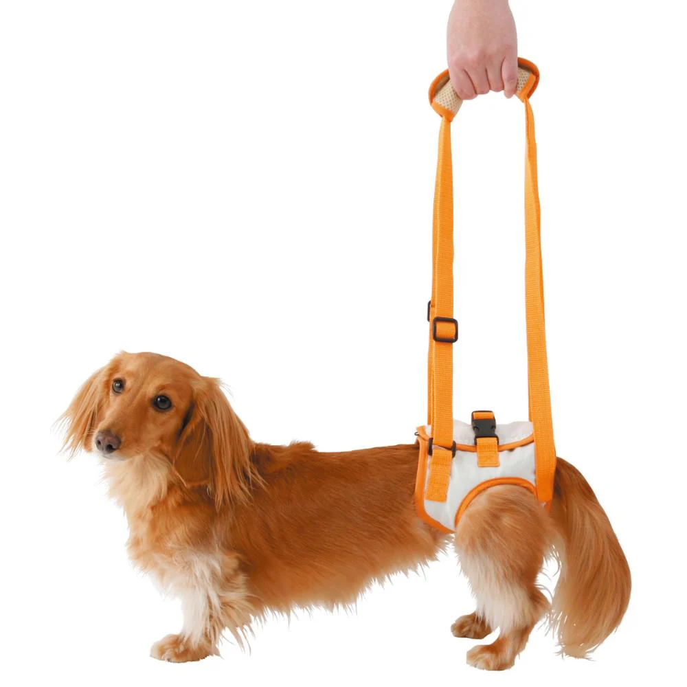 老犬介護用 歩行補助ハーネス 後足用K M 【直送品】 返品・キャンセル・他商品と同時購入は不可 - Image 2