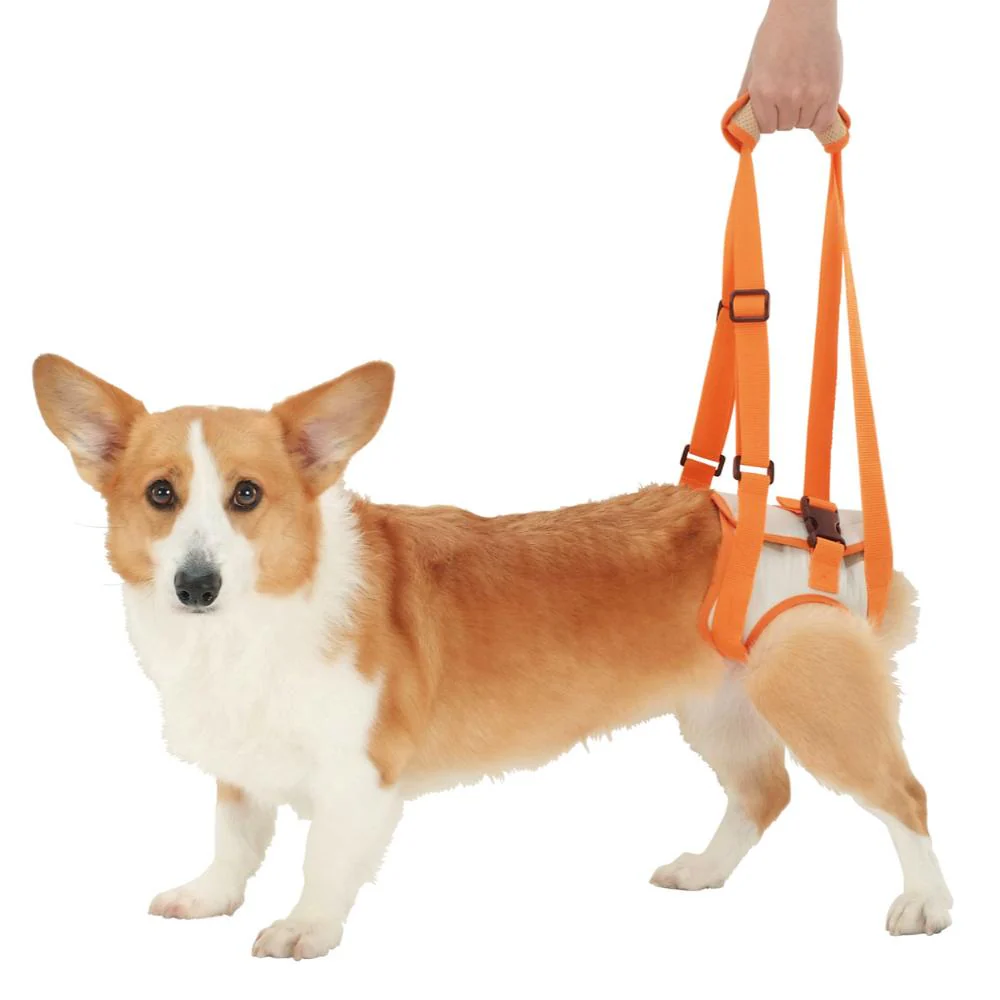 老犬介護用 歩行補助ハーネス 後足用K L 【直送品】 返品・キャンセル・他商品と同時購入は不可 - Image 2
