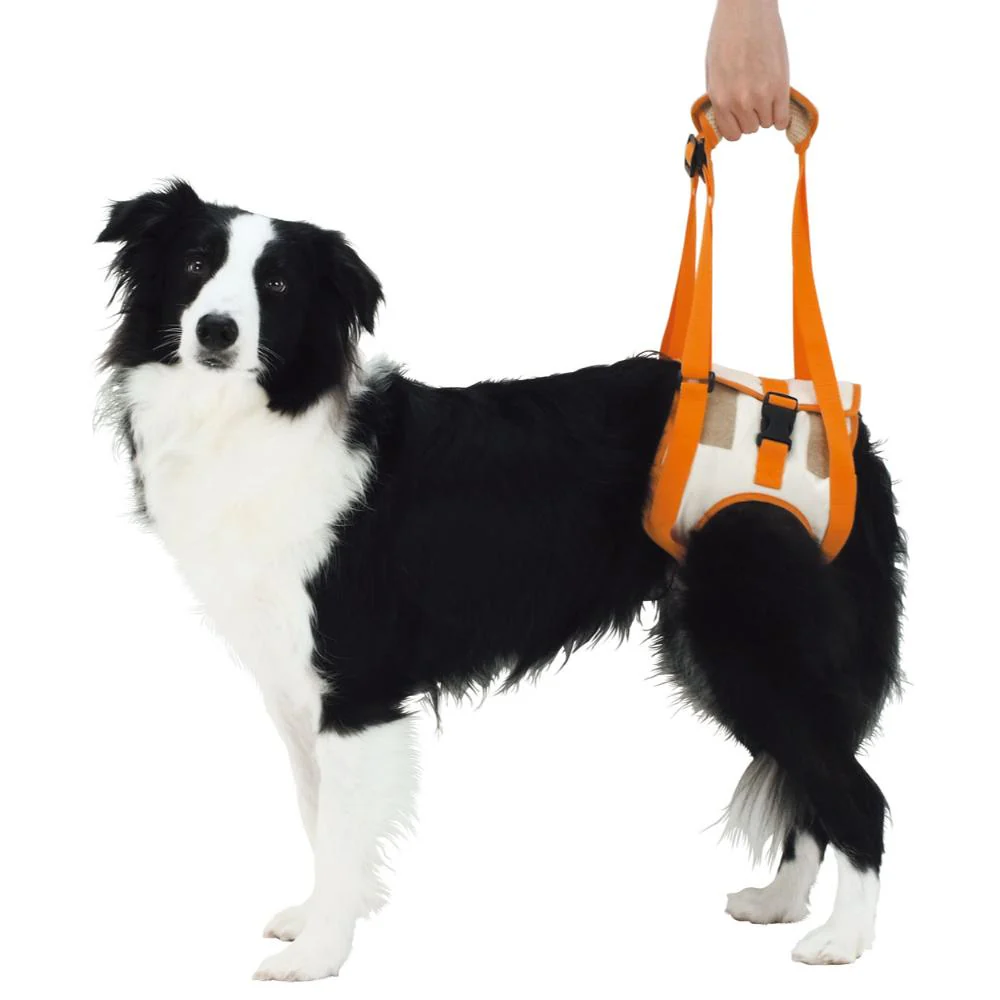 老犬介護用 歩行補助ハーネス 後足用K 2L 【直送品】 返品・キャンセル・他商品と同時購入は不可 - Image 2