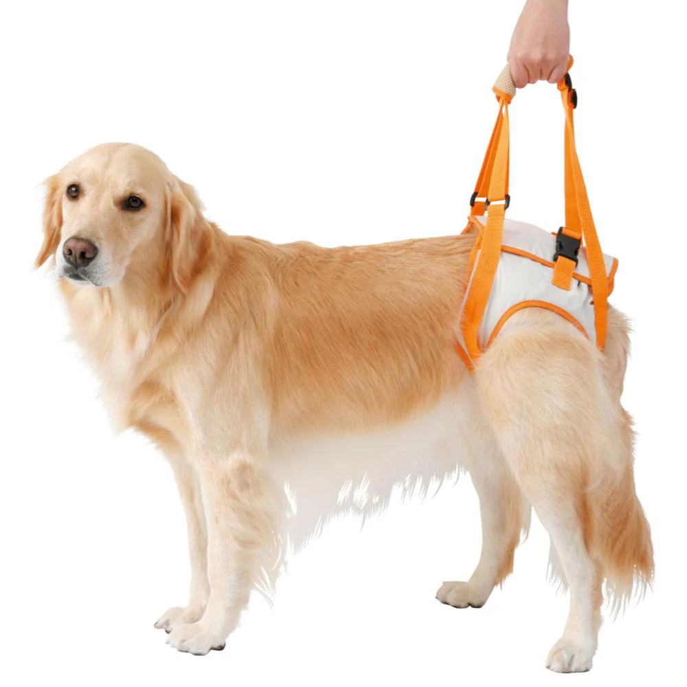 老犬介護用 歩行補助ハーネス 後足用K 3L 【直送品】 返品・キャンセル・他商品と同時購入は不可 - Image 2