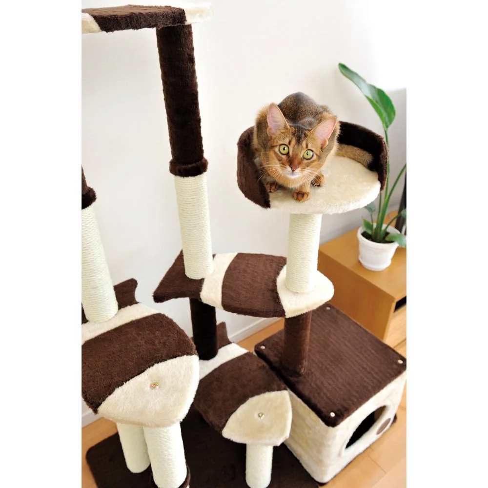 猫のおあそびポール お魚ファミリー ハイタイプ 【直送品】 返品・キャンセル・他商品と同時購入は不可 - Image 5