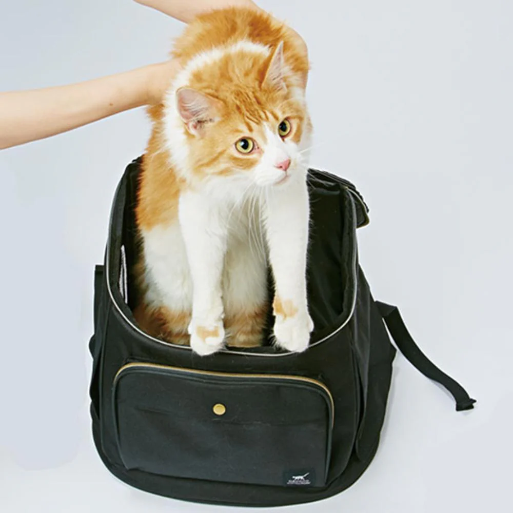 necoco リュックキャリー ブラック 【直送品】 返品・キャンセル・他商品と同時購入は不可 - Image 3