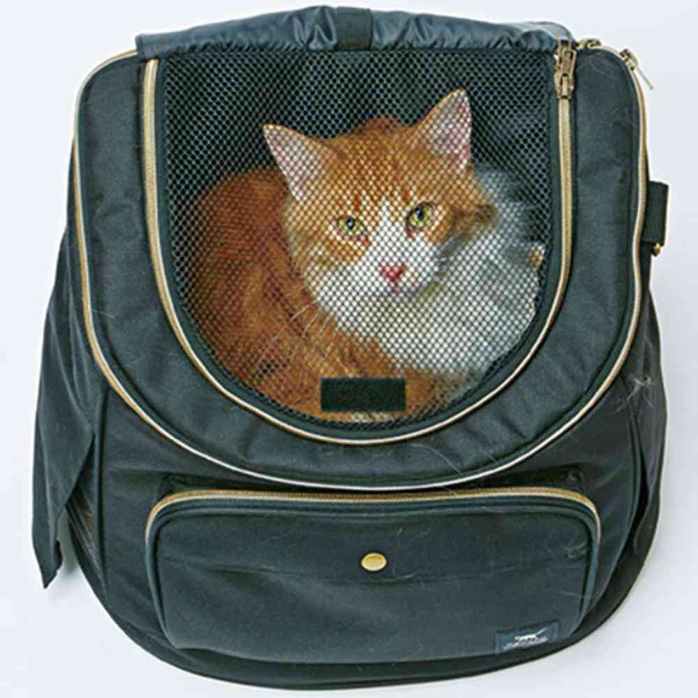 necoco リュックキャリー ブラック 【直送品】 返品・キャンセル・他商品と同時購入は不可 - Image 4