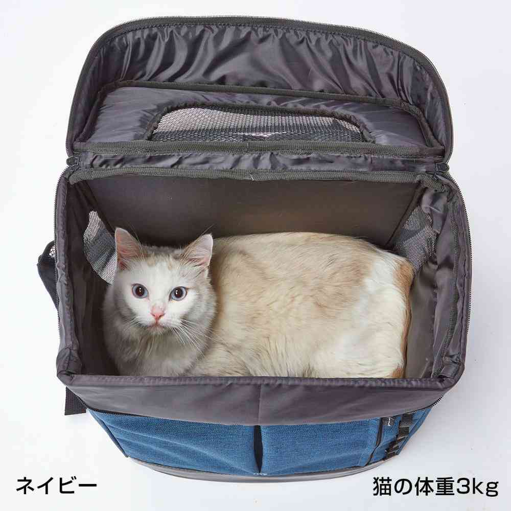 Liscio CAT リュックキャリー グレー 【直送品】 返品・キャンセル・他商品と同時購入は不可 - Image 5