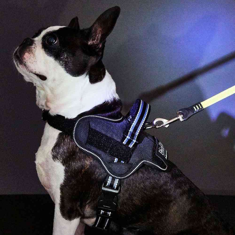 犬用胴輪 EthicalDoor イージーウェアハーネス S 【直送品】 返品・キャンセル・他商品と同時購入は不可 - Image 2