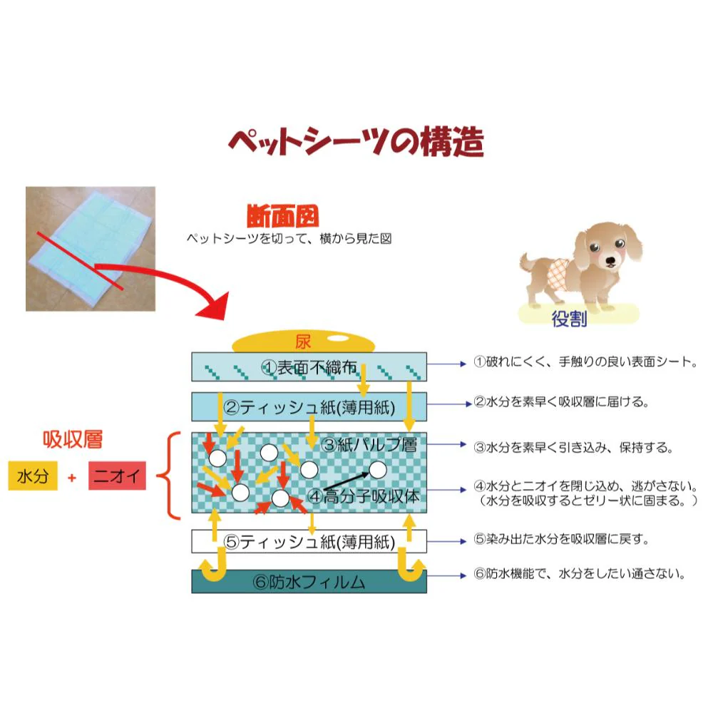 わんわんサラ・シート レギュラー200枚 【直送品】 返品・キャンセル・他商品と同時購入は不可 - Image 2