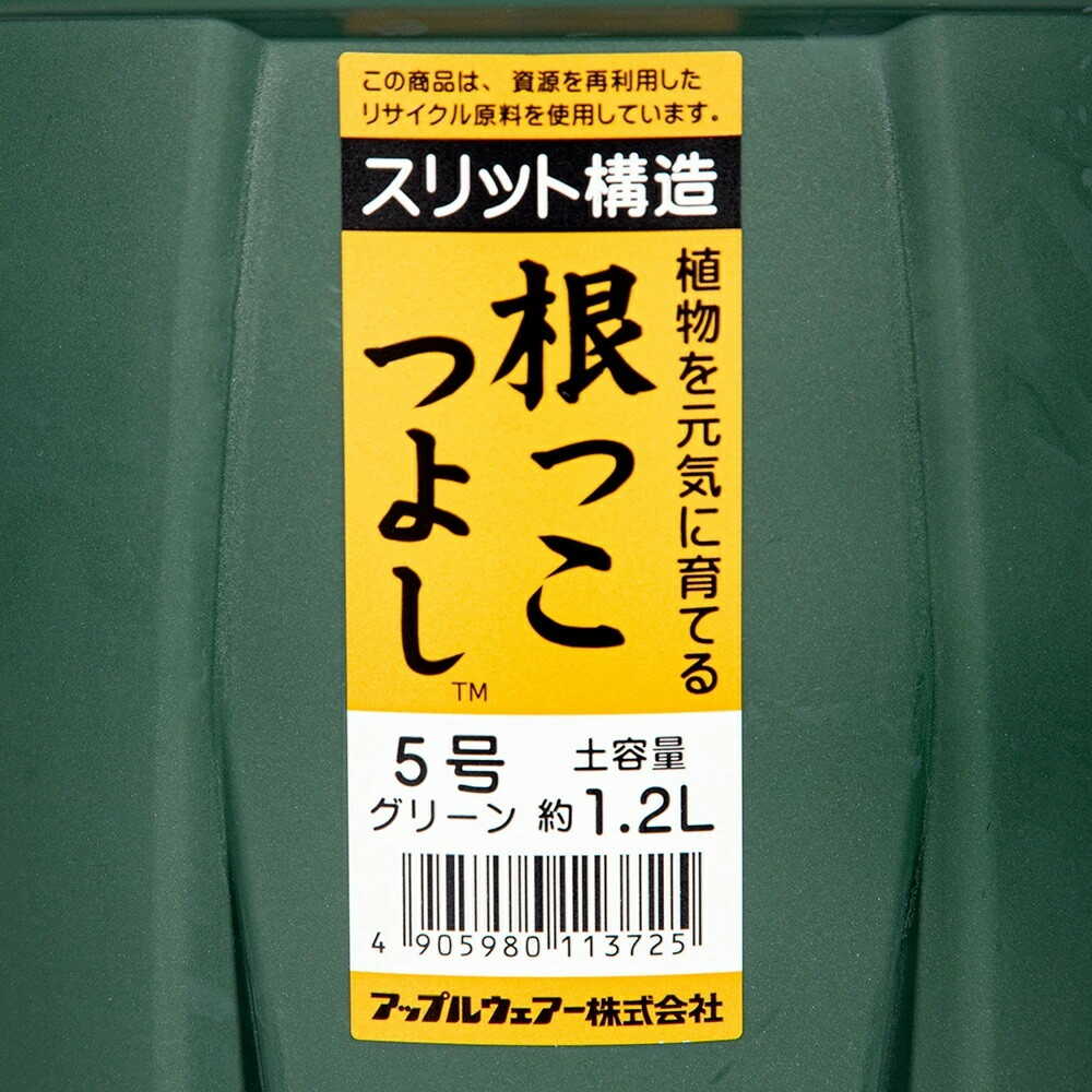 アップルウェアー 根っこつよし 5号 グリーン - Image 10