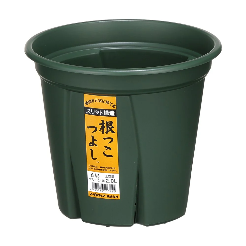 アップルウェアー 根っこつよし 5号 グリーン - Image 2