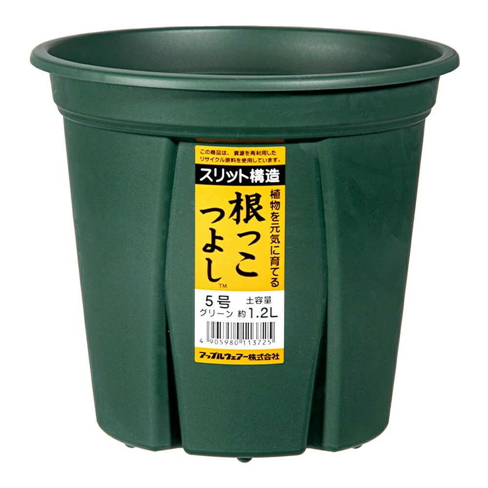 アップルウェアー 根っこつよし 5号 グリーン - Image 7