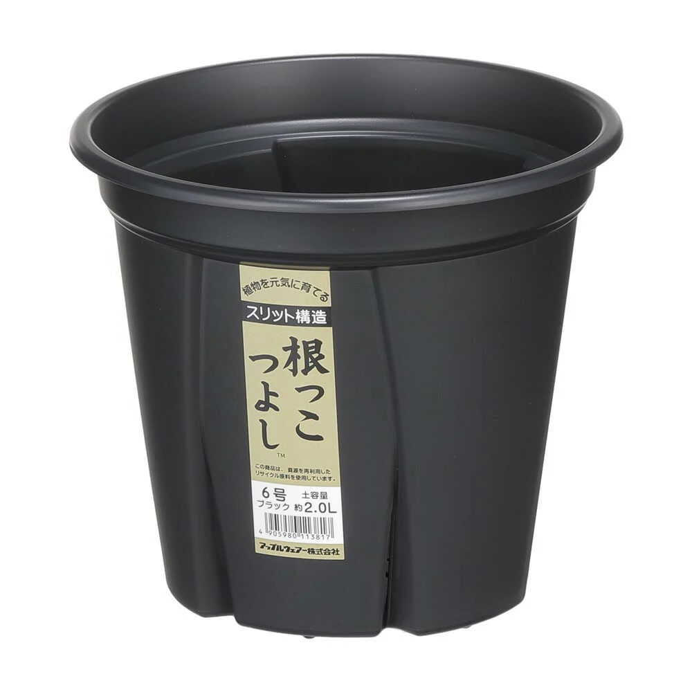 アップルウェアー 根っこつよし 6号 ブラック - Image 8