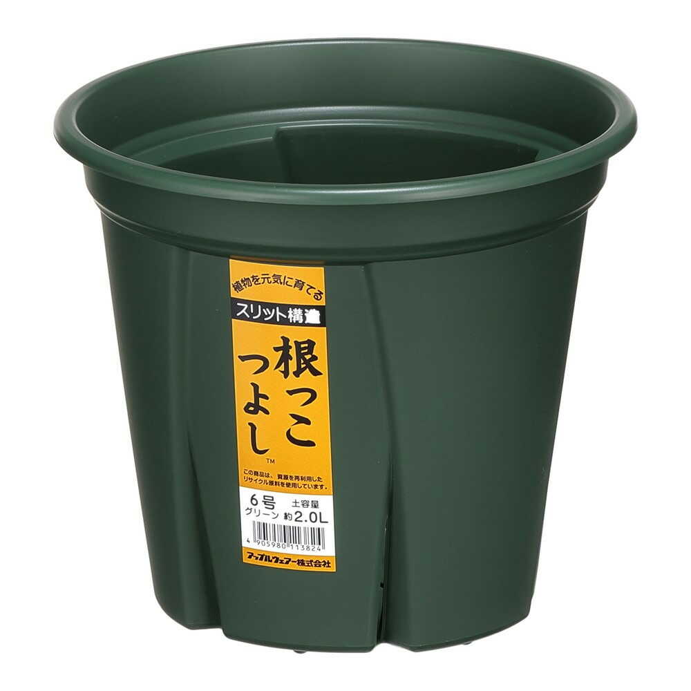 アップルウェアー 根っこつよし 6号 グリーン - Image 8