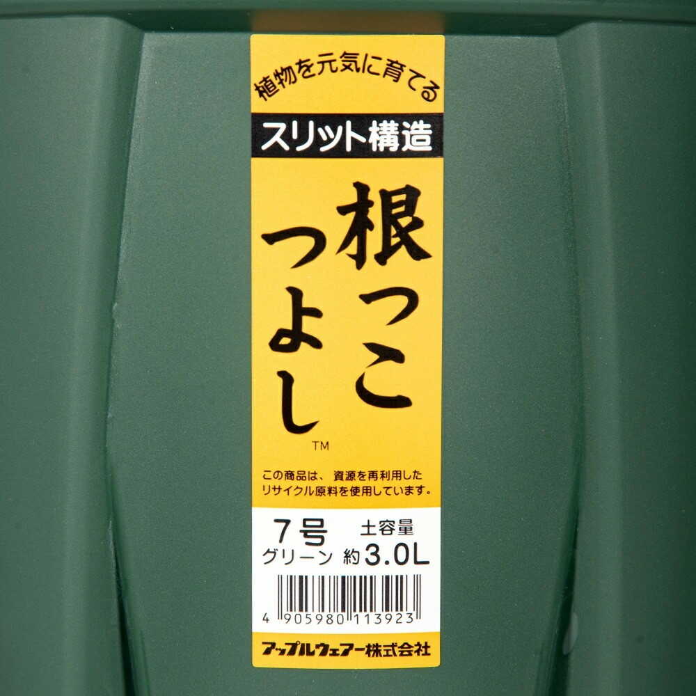 アップルウェアー 根っこつよし 7号 グリーン - Image 10