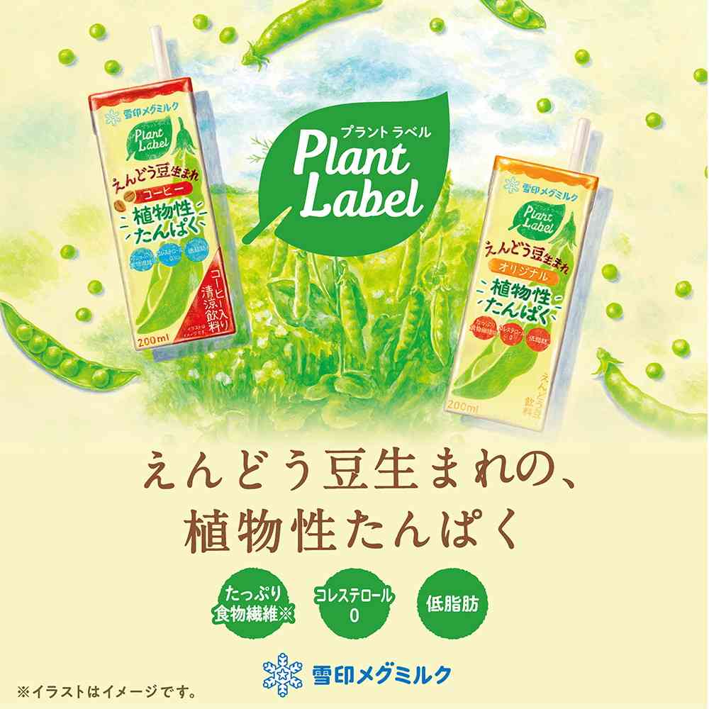 ◆雪印メグミルク えんどう豆生まれ コーヒー 200ml - Image 3