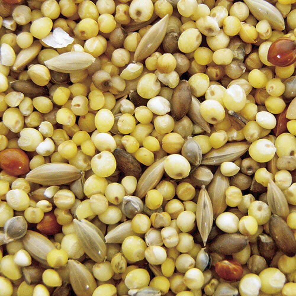 ナチュラルペットフーズ エクセル おいしい小鳥の食事皮むき 900g - Image 5