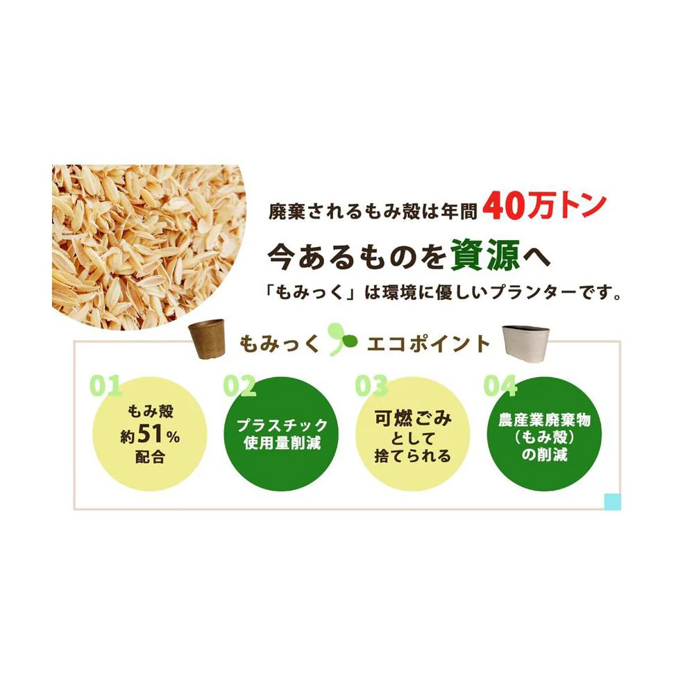 welzo もみっくプレート ブラック ５号 - Image 3
