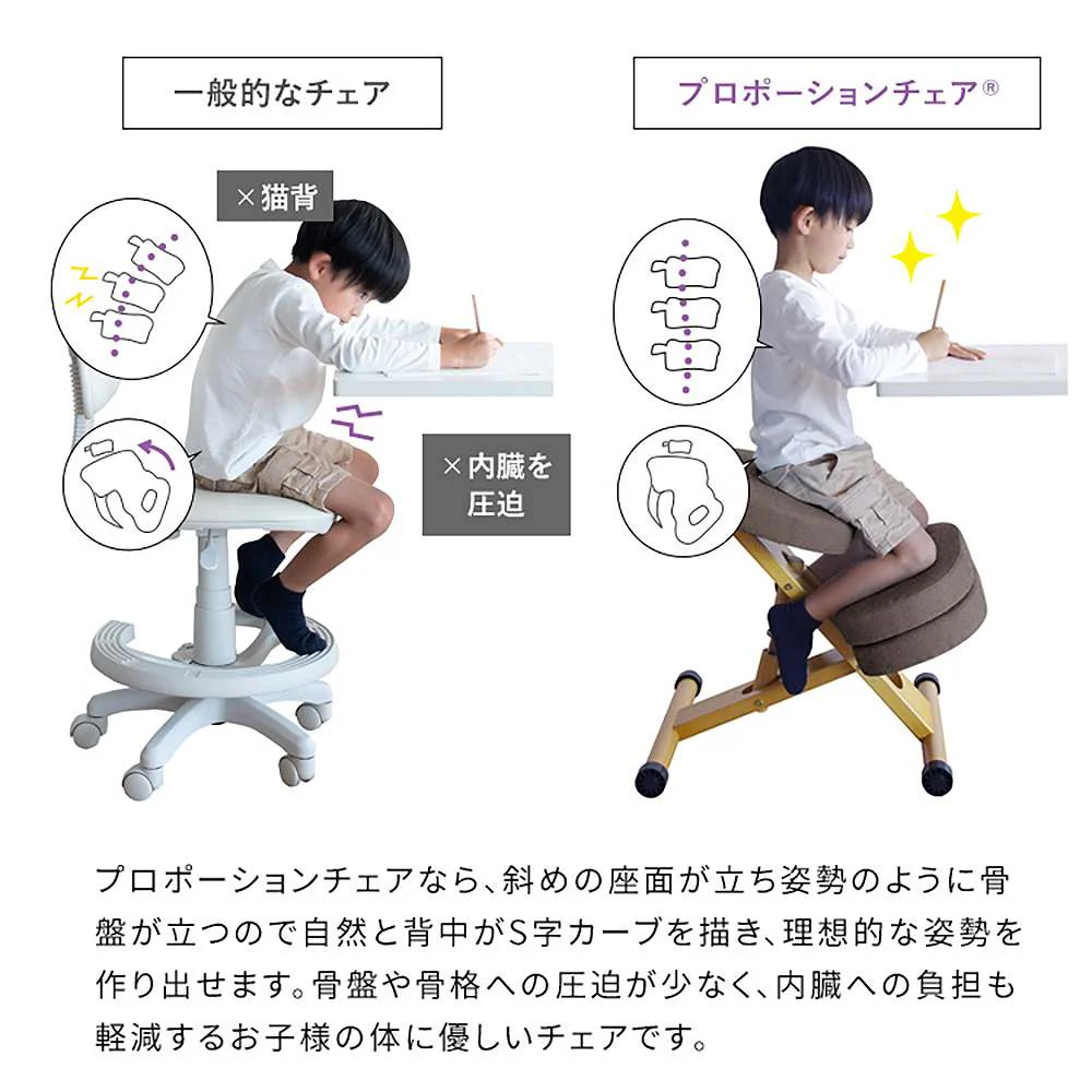 プロポーションチェア CH-N889CK ナチュラルバイオレット 組立必要 【直送品】 返品・キャンセル・他商品と同時購入は不可 - Image 6