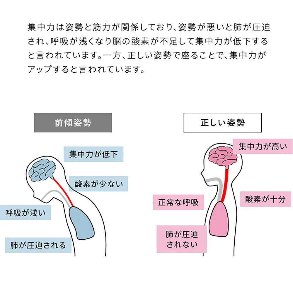プロポーションチェア CH-N889CK ナチュラルピンク 組立必要【直送品】 返品・キャンセル・他商品と同時購入は不可 - Image 7