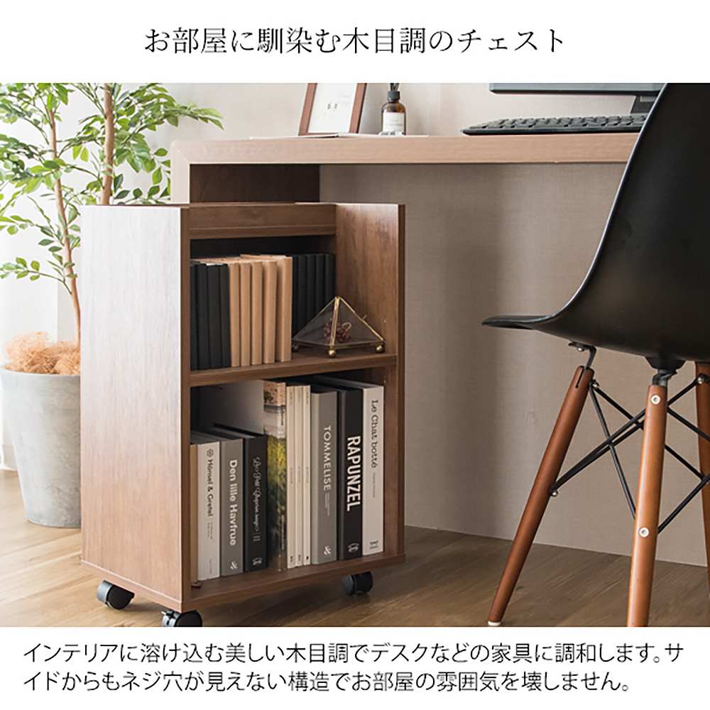 サイドラック ルゼル DSR-001 NT 組立必要【直送品】 返品・キャンセル・他商品と同時購入は不可 - Image 4