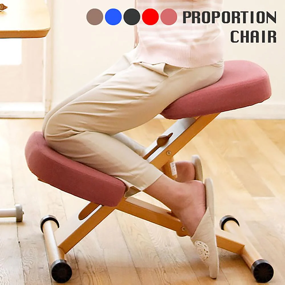 プロポーションチェア CH-DBR88W BK 組立必要【直送品】 返品・キャンセル・他商品と同時購入は不可 - Image 2