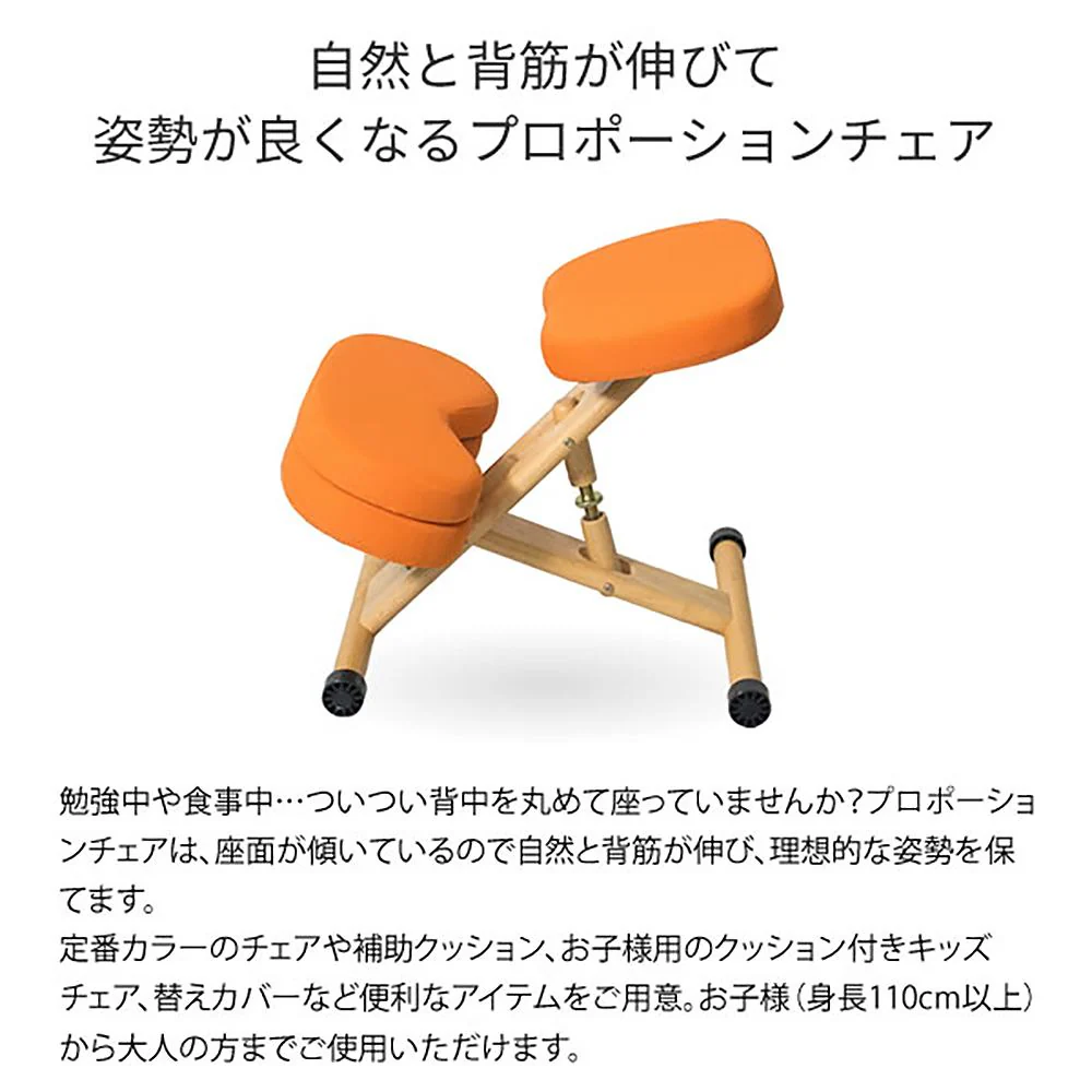 プロポーションチェア CH-DBR88W BK 組立必要【直送品】 返品・キャンセル・他商品と同時購入は不可 - Image 7