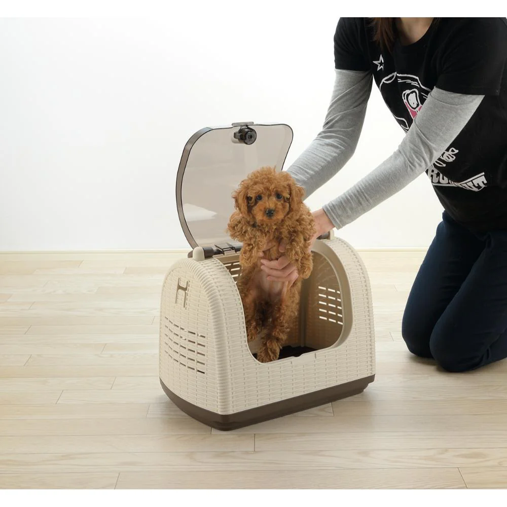 ラタンキャリー アイボリー 【直送品】 返品・キャンセル・他商品と同時購入は不可 - Image 6