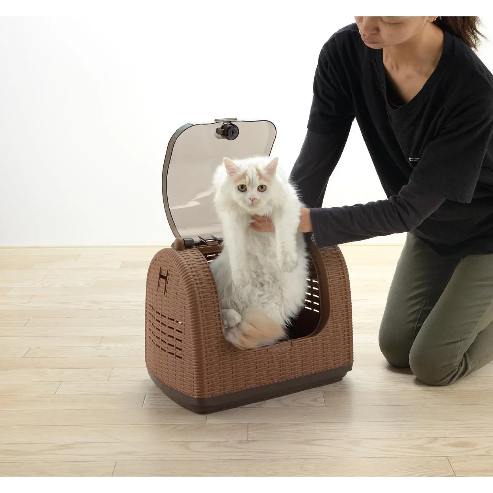 ラタンキャリー ブラウン 【直送品】 返品・キャンセル・他商品と同時購入は不可 - Image 4