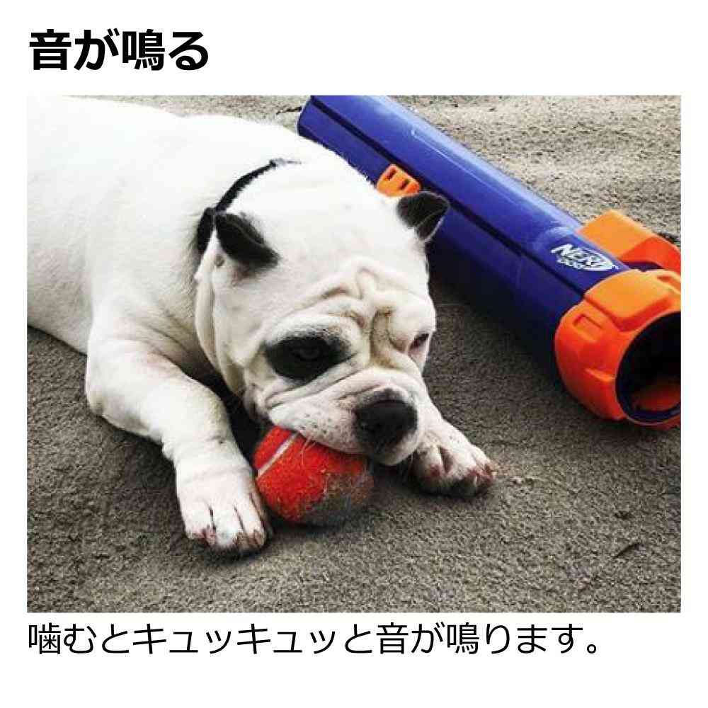 ナーフドッグ ストライクシューター 12i 【直送品】 返品・キャンセル・他商品と同時購入は不可 - Image 4