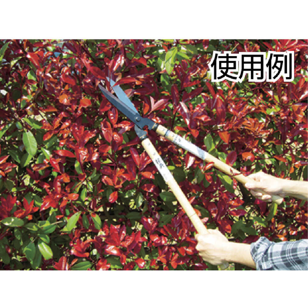 A2 鋼典 刈込鋏 安来鋼付パーカー仕上 白樫柄入 【直送品】 返品・キャンセル・他商品と同時購入は不可 - Image 2
