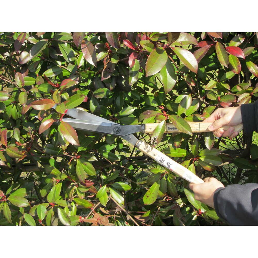 鋼典 刈込鋏 安来鋼付ネジ式トメ付 1尺樫 和釘打桂コブ柄 【直送品】 返品・キャンセル・他商品と同時購入は不可 - Image 2