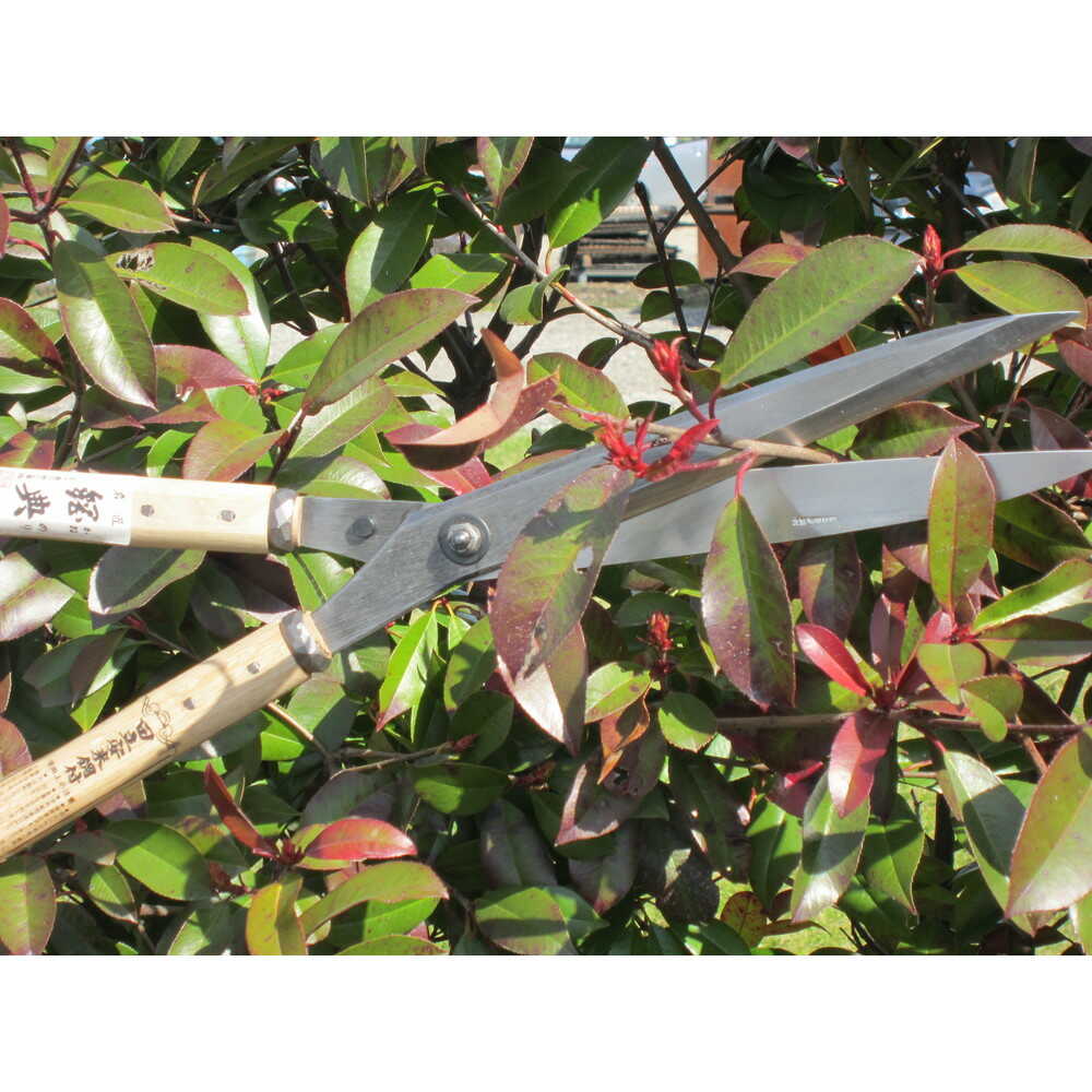 鋼典 刈込鋏 安来鋼付ネジ式トメ付 1尺樫 和釘打桂コブ柄 【直送品】 返品・キャンセル・他商品と同時購入は不可 - Image 3