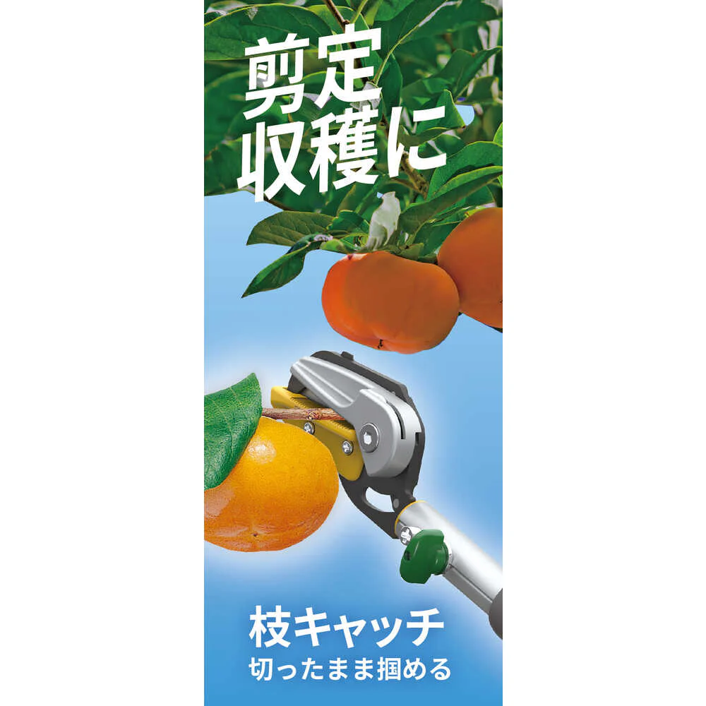 631 musashi 替刃3段式高枝切り鋏アンビル刃 【直送品】 返品・キャンセル・他商品と同時購入は不可 - Image 2