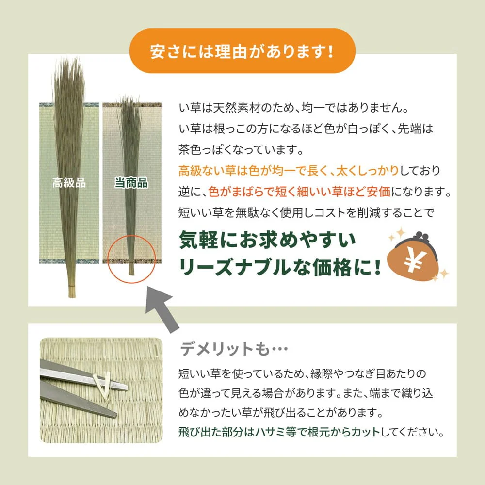 い草カーペット 柳川（やながわ） 本間3畳 - 【直送品】 返品・キャンセル・他商品と同時購入は不可 - Image 6