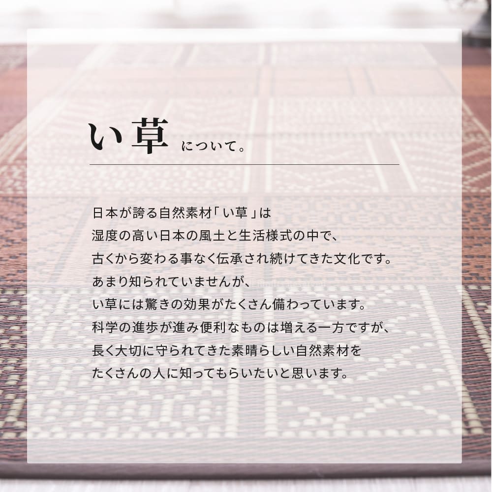 い草ラグ 伊勢 ブラウン 176×176 【直送品】 返品・キャンセル・他商品と同時購入は不可 - Image 5