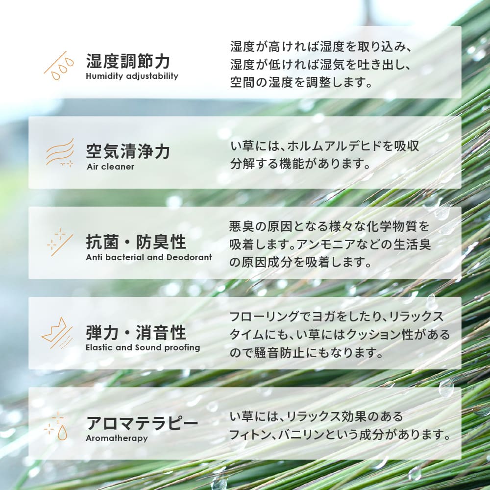 い草ラグ 伊勢 ブラウン 176×176 【直送品】 返品・キャンセル・他商品と同時購入は不可 - Image 6