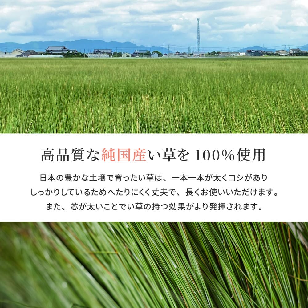 国産い草カーペット 清涼 江戸間4.5畳 ベージュ 【直送品】 返品・キャンセル・他商品と同時購入は不可 - Image 4