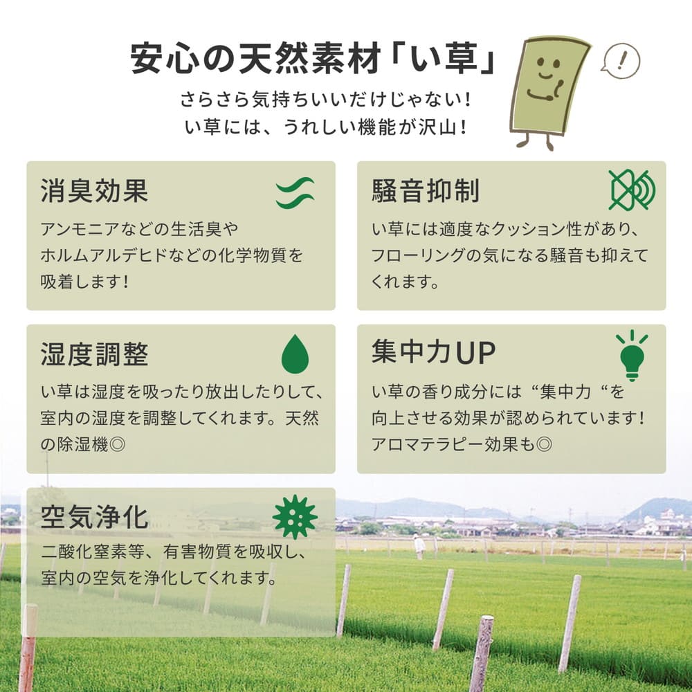 フリーカット裏付 い草カーペット みすず 団地間4.5畳 【直送品】 返品・キャンセル・他商品と同時購入は不可 - Image 10