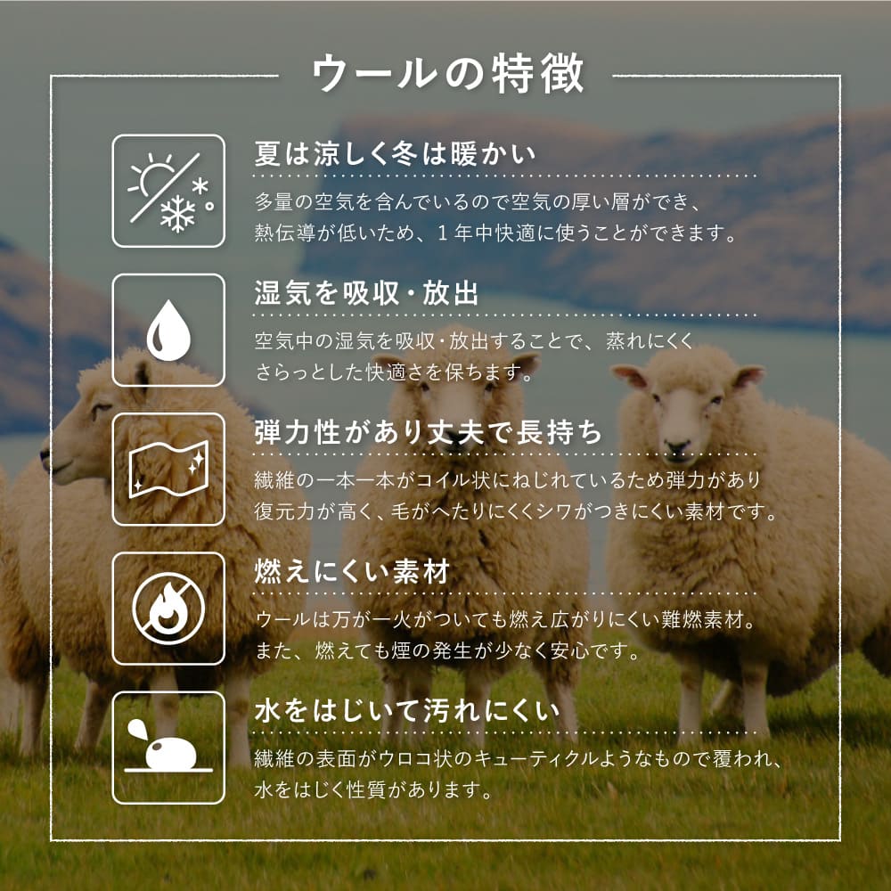 GABBEH D23 40X180 【直送品】 返品・キャンセル・他商品と同時購入は不可 - Image 8