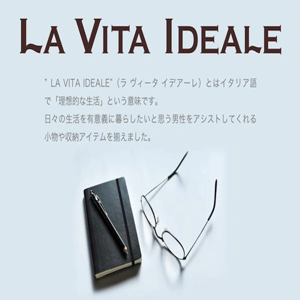 メンズボックスL(小物収納) 240-576BK 【直送品】 返品・キャンセル・他商品と同時購入は不可 - Image 3