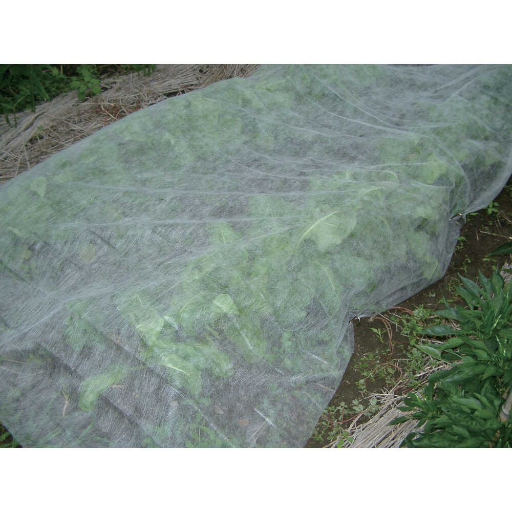 Dio 農園芸用 不織布 白 透光率90% 2.1m×20m 【直送品】 返品・キャンセル・他商品と同時購入は不可 - Image 2