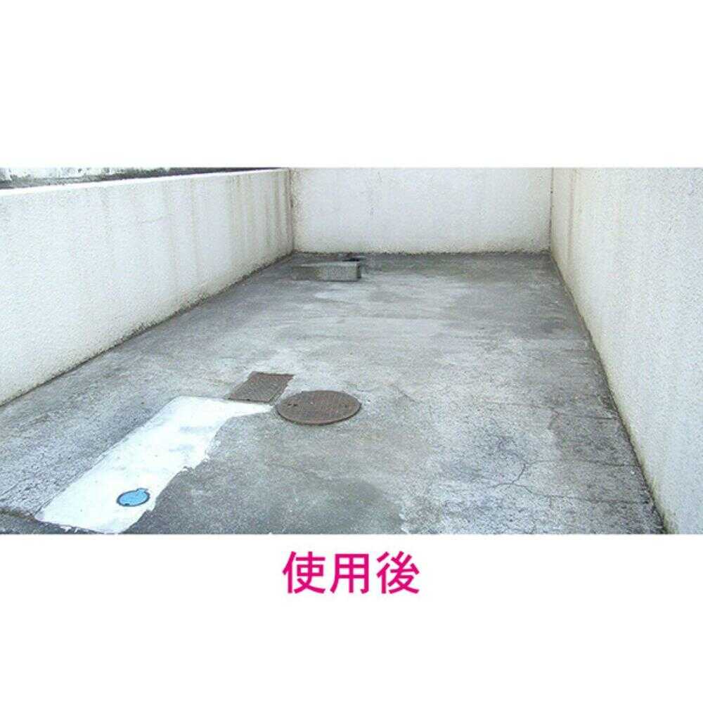 トーヤク コケカビ取り 420ml - Image 6