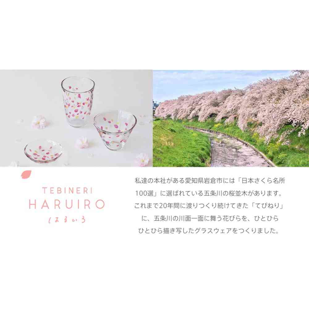アデリア TEBINERI HARUIRO 吟醸 1個 - Image 3