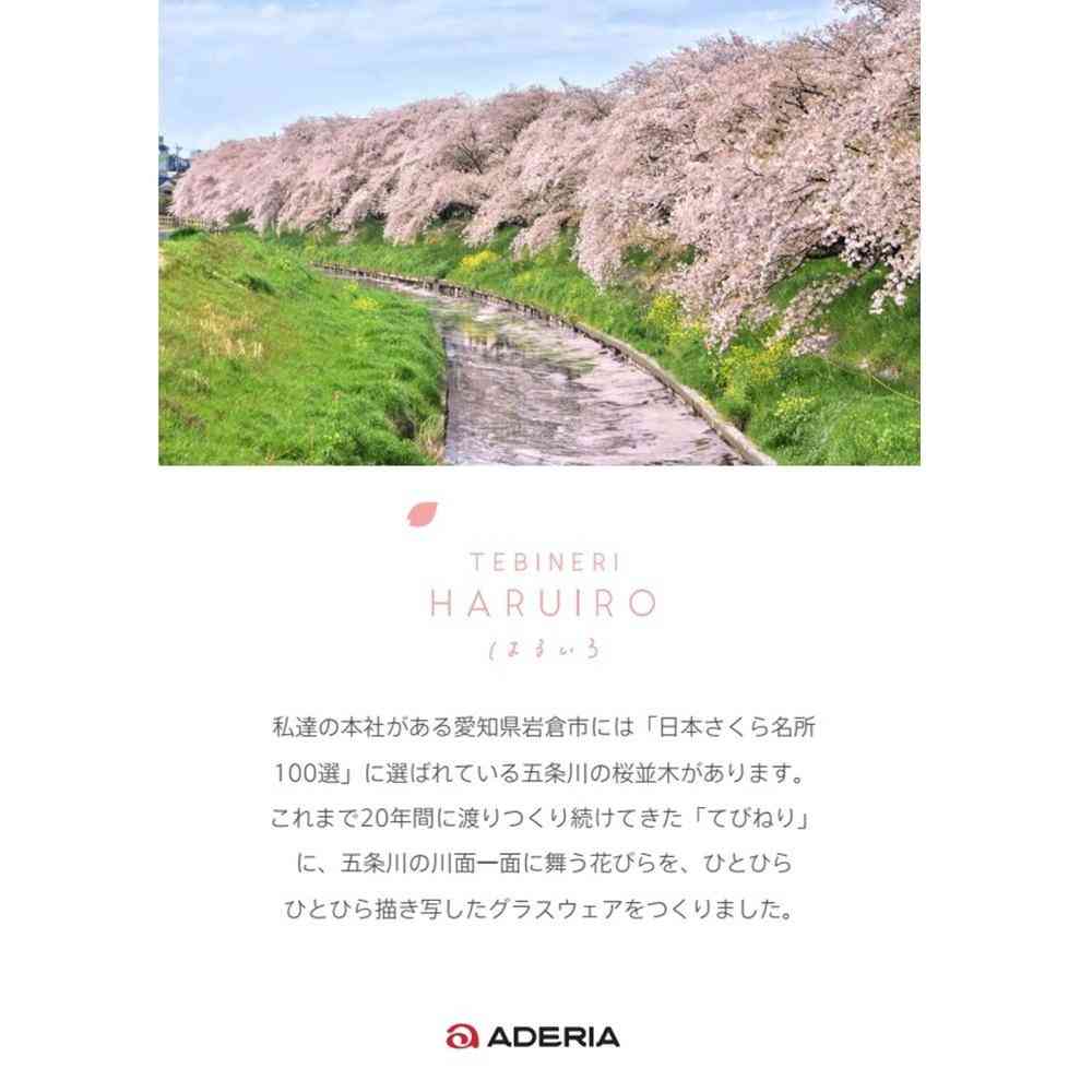 アデリア TEBINERI HARUIRO 泡づくりビアグラス 1個 - Image 4